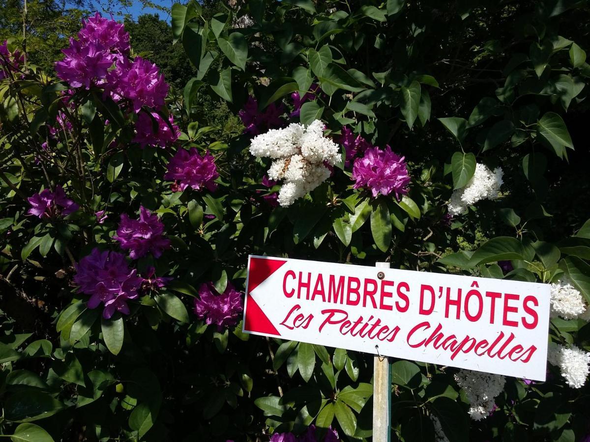 Bed and Breakfast Les Petites Chapelles à Saint-Pierre-de-Plesguen Extérieur photo